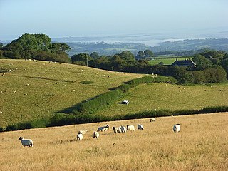 Toller Down Hill in Dorset, England