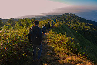 <span class="mw-page-title-main">Kayah–Karen montane rain forests</span> Ecoregion on Mainland Southeast Asia