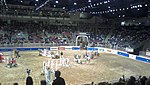 Toronto Royal Horse Show.jpg