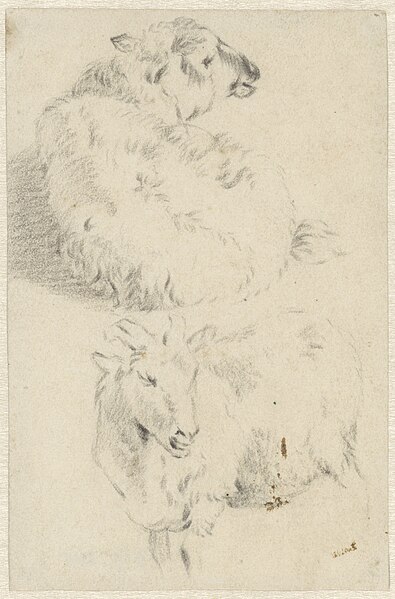 File:Twee studies van een schaap, RP-T-1989-248.jpg