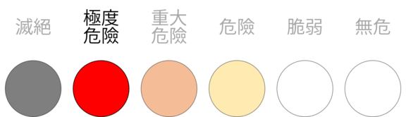 卡那卡那富語 Wikiwand