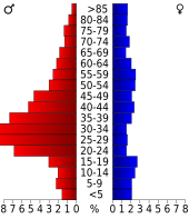 Bevolkingspiramide Concho County