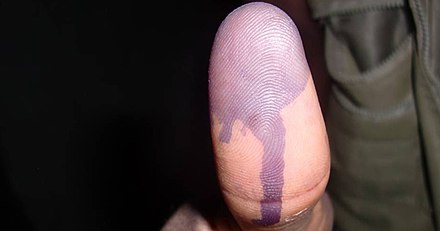 A voter's thumb stained with indelible ink