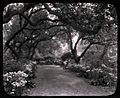 Unidentified Garden in Pasadena, California (slide) (3953273590).jpg