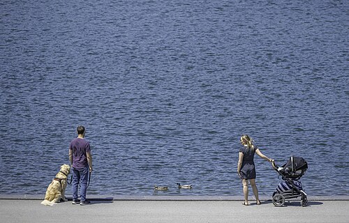 Unknown people meeting by chance in Lafontaine Park