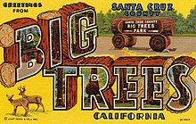 Greetings from Big Trees Park c. 1950 Untitled - Large Letters (NBY 7633).jpg