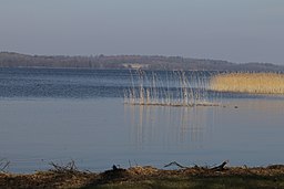 Västra Ringsjön vid Gamla Bo