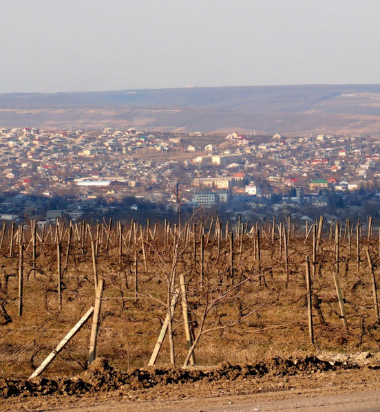 File:Vedere la sud de Bardar.png