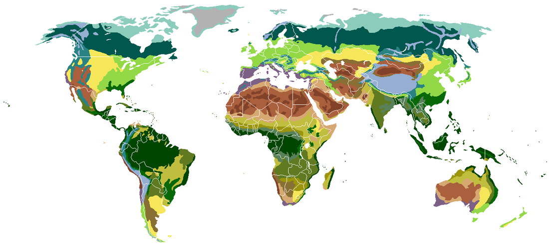 Liste des pays par superficie forestière