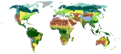 Ecologia