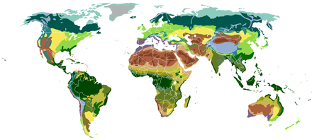 Map of terrestrial biomes classified by vegetation