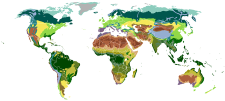 Vegetação do Brasil – Wikipédia, a enciclopédia livre