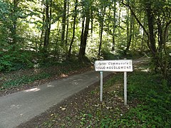 La forêt communale.