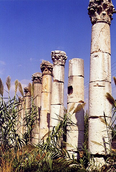 File:ViransehirSäulen.jpg