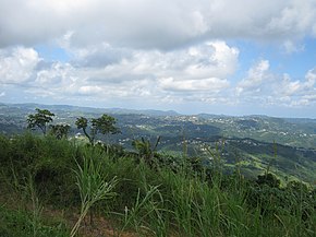 Vista del area de los Pueblos Cidra y Aguas Buenas - panoramio.jpg