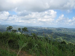 Vista dell'area de los Pueblos Cidra y Aguas Buenas - panoramio.jpg