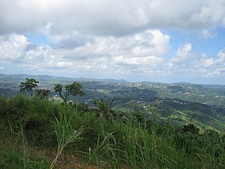 <span class="mw-page-title-main">Cidra, Puerto Rico</span> Town and municipality in Puerto Rico