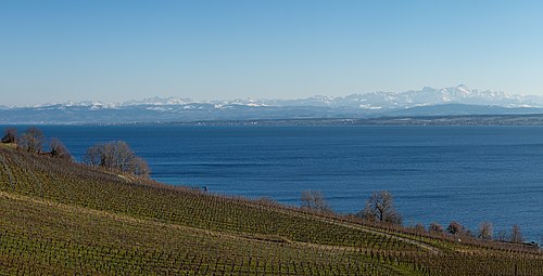 Far view over Lake Constance to the Alps