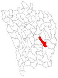 Location in Vaslui County