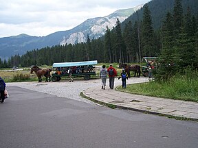 Widok z polany w kierunku wschodnim