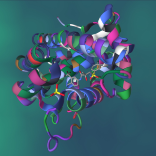 A protein–ligand complex is a complex of 