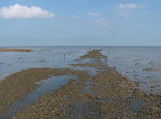 The Broomway Public pathway in Essex, England