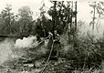 Feuerwehrmänner bei der Bekämpfg.des Waldbrandes bei Eschede