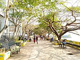 A View of Marine Drive, Kochi, Kerala, India