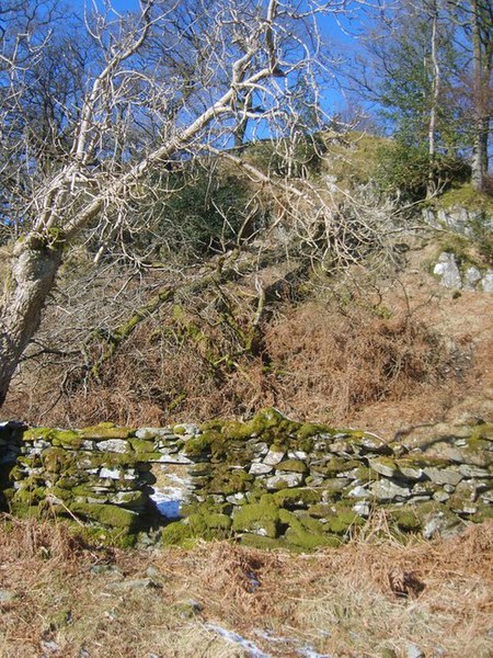 File:Wall on How Banks - geograph.org.uk - 1734223.jpg