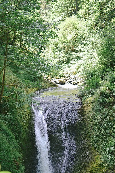 File:Waterfall in Horsetail Falls Hike - Anna Del Savio.jpg