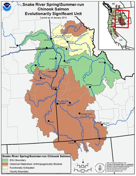 File:Web pdfs srss chinook.pdf