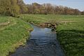 Mündung der Wierau (links) in die Hase nahe Wissingen