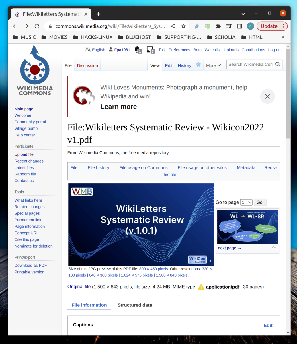 
                        <p><b>Technical developer of WikiLetters Systematic Review (Desenvolvedor do WSR)</b></p>
                    