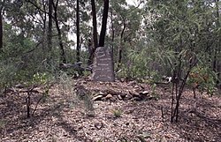 William Wyndhams gravesite and remnant orchard trees (2004).jpg