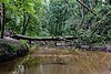 Rough landscapes along the river Boven-Slinge near Winterswijk