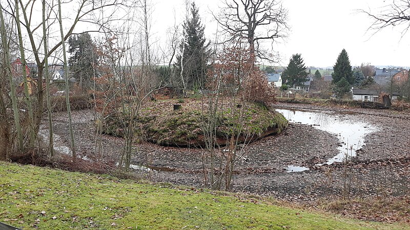 File:Wolteich im Reinsdorfer Ortsteil Friedrichsgrün.jpg