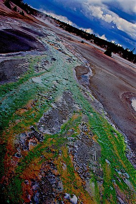 Retrato do Parque Nacional recolhido de Yellowstone situado nos EUA. A cor verde é por causa do resfriamento da água a partir de uma piscina azul forrada  bactérias amarelas sulfurosas e também por causa da colonização da bactéria filamentosa verde não enxofre, as Thermomicrobias.