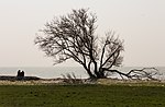 Thumbnail for File:Zicht op het IJsselmeer. Locatie Mirnser Klif 02.jpg