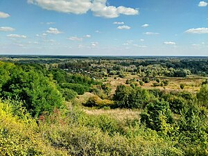 Краєвид з пагорба на Патлаївку