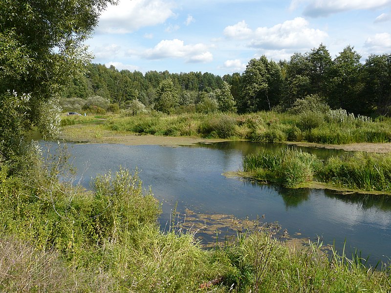 File:Нерль в Пречистом - panoramio.jpg