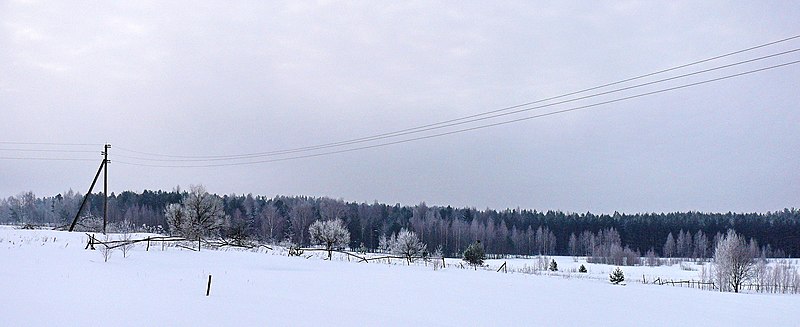 File:Провода по краю деревни - panoramio.jpg