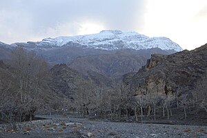 کوه زیبد