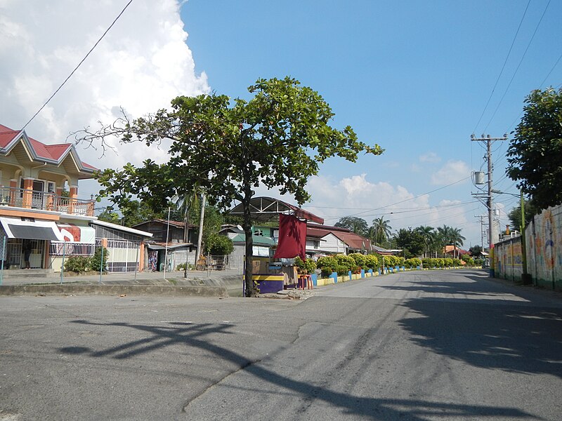 File:01614jfPinagbarilan Cantulinan Matangtubig Baliuag Bulacan Arterial Roadfvf 11.JPG