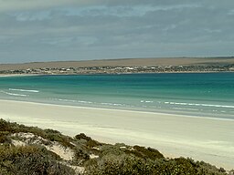 Sceale Bay sedd från Sceale Bay Conservation Park