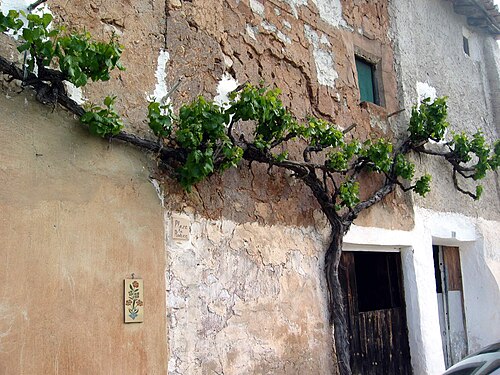 Detalle de construcciones tradicionales (vernaculares) en Hoya de la Carrasca, Arcos de las Salinas (Teruel), año 2013.