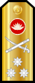 Vice admiral (Bangladesh Navy)[8]