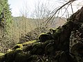 Waldstein Castle