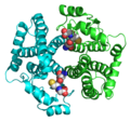 Thumbnail for Glutathione S-transferase A1