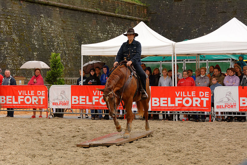 File:2015-08-23 16-16-00 rallye-equestre.jpg