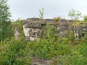 Birzberg nature reserve, Honigsack / Kappelberghang near Fechingen (June 2015)